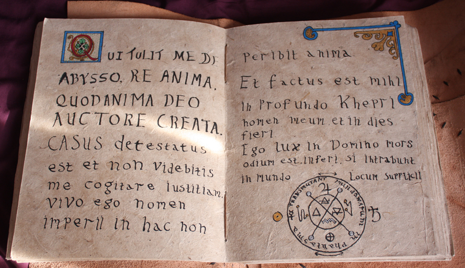 Stupid Unicorn Designs