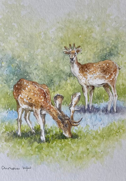 Deer in Bluebell Wood . Original watercolour by former Royal Worcester Artist 