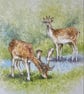 Deer in Bluebell Wood . Original watercolour by former Royal Worcester Artist  - Image 1