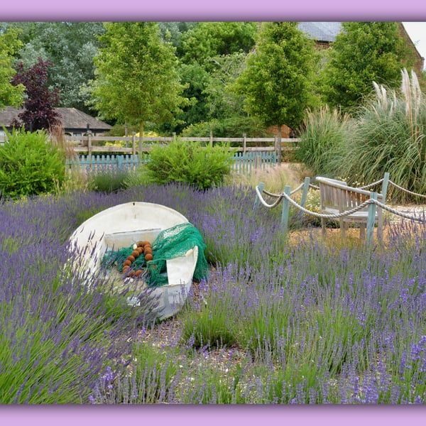 Lavender Field Boat Greeting Card A5 
