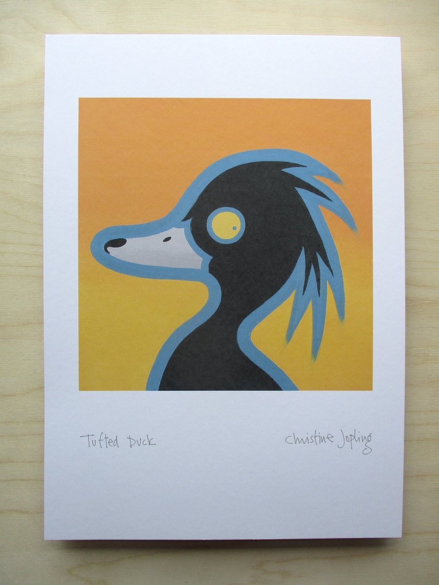 A4 British Bird Print - Tufted Duck
