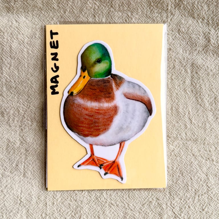 Mallard Duck Fridge Magnet
