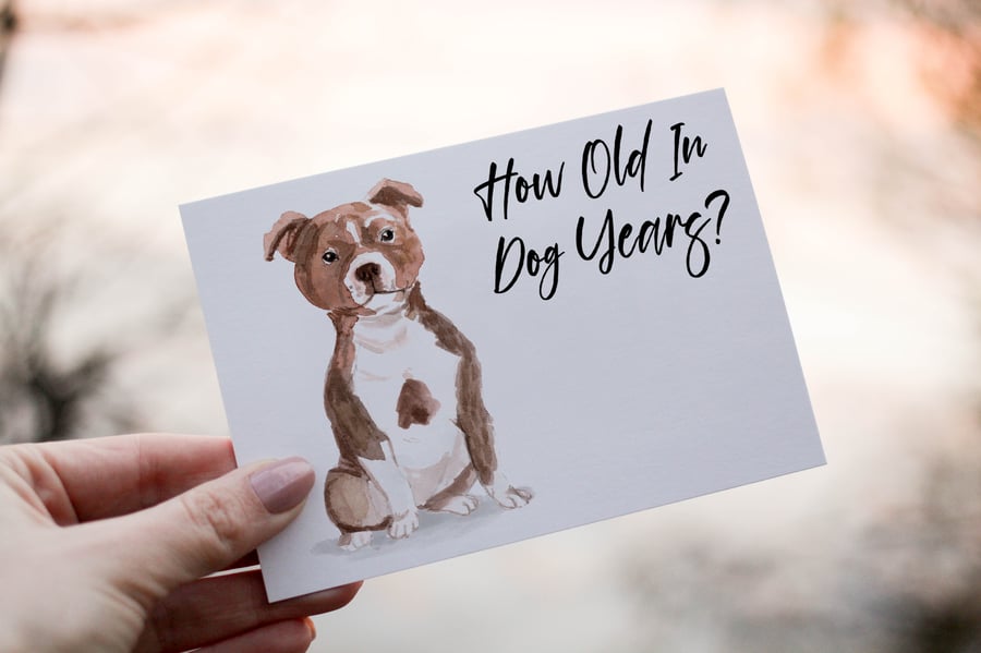 Staffordshire Bull Terrier Dog Birthday Card, Dog Birthday Card