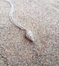 Whelk Necklace  - Image 8