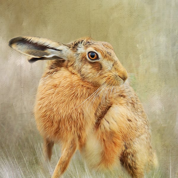 Exclusive Handmade Brown Hare Greetings Card