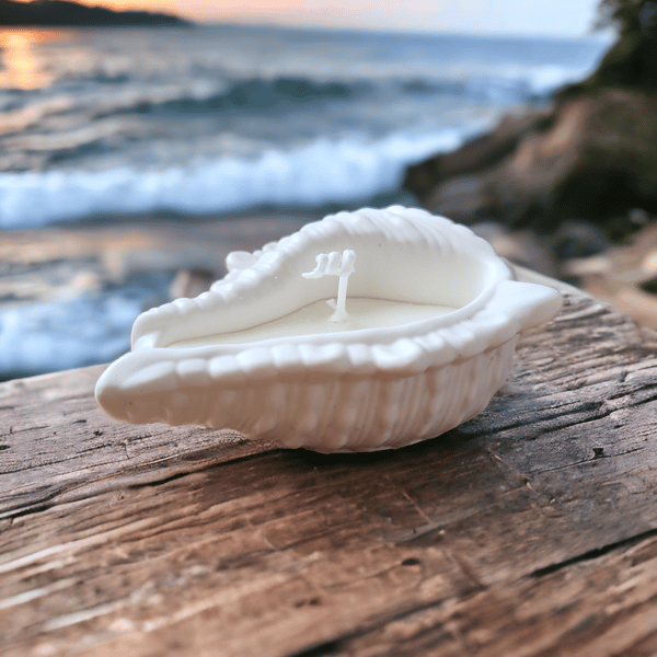 Seashell white candle in jesmonite shell scented 
