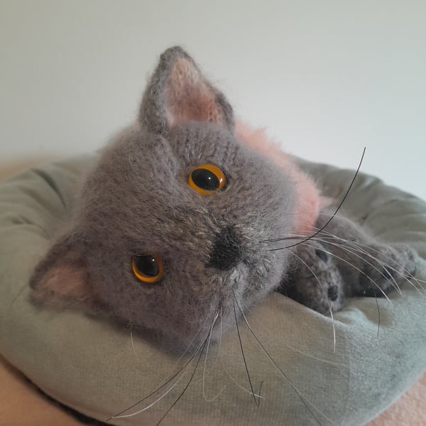 British Shorthair Kitten, dotpebblesknits Knitted Design
