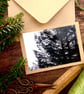 Larch Branches Forest Cards - READY TO SHIP - Image 9