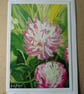 Clover - Image 2