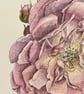 Garden rose painting  - Image 4
