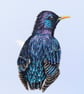 Male Starling Bird Acrylic Portrait Painting  - Image 2