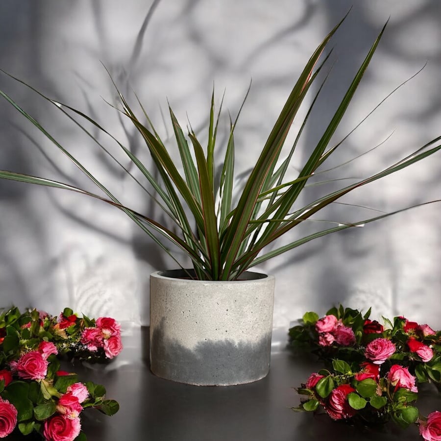 Handmade Grey and Black Large Concrete Plant Pot - Surface of the Moon Planter