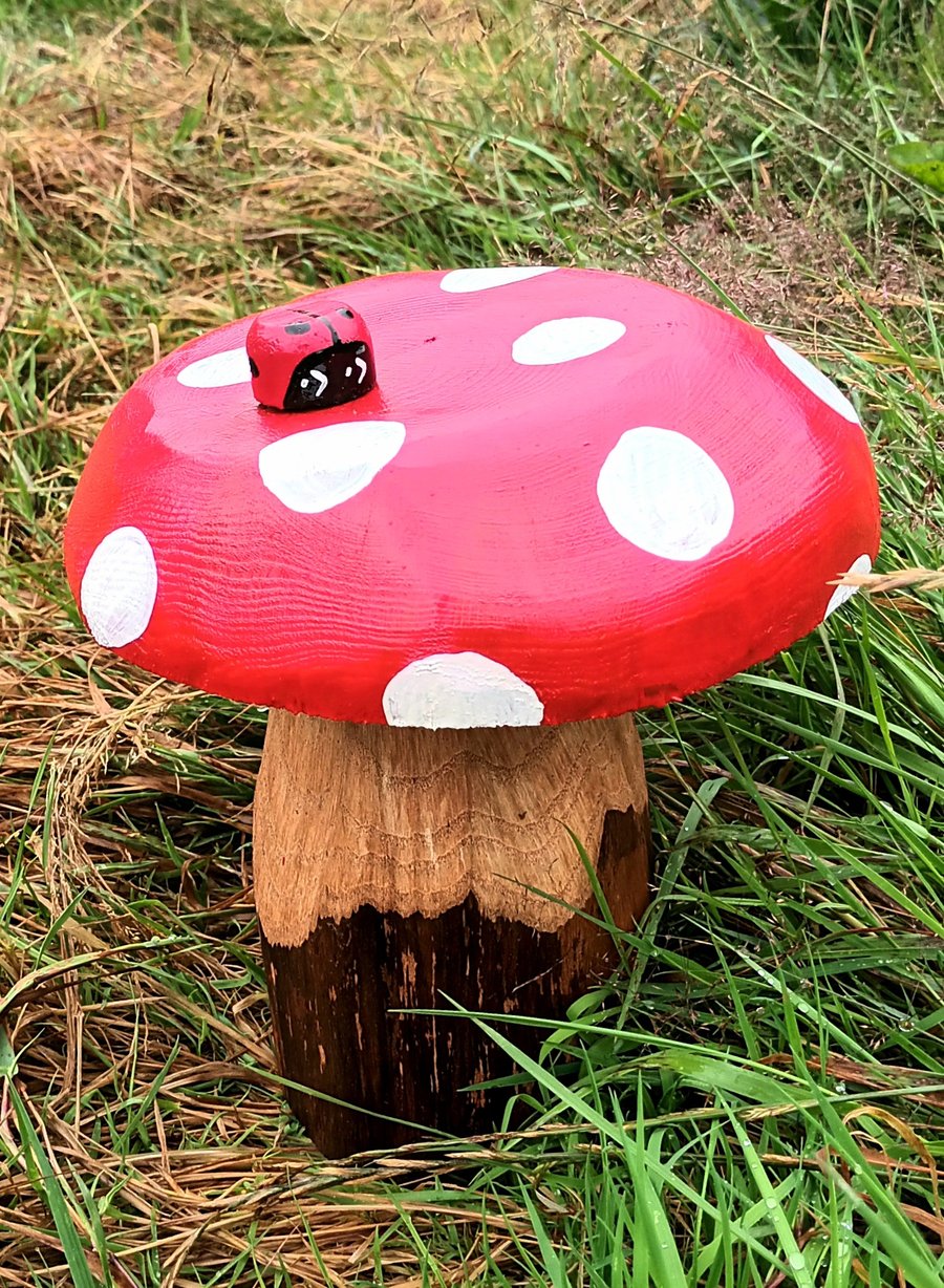 Ladybird on Red Toadstool