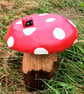 Ladybird on Red Toadstool