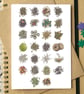 Tea Alphabet Greetings Card - Image 1