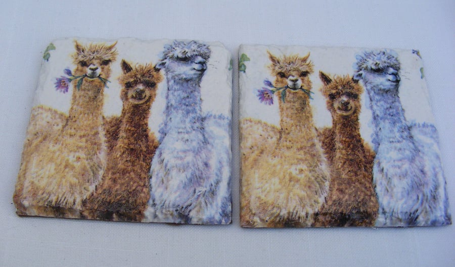 Set of 2 Slate Alpaca Coasters