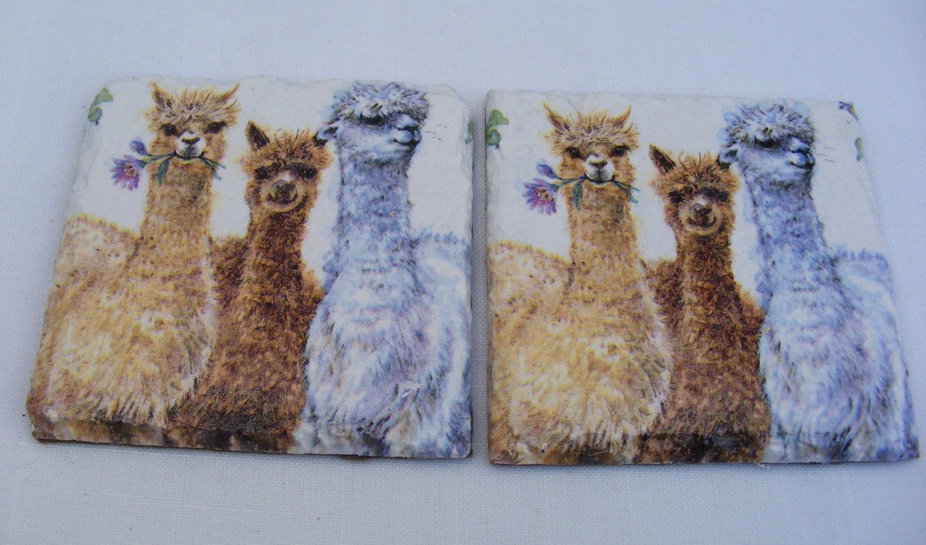 Set of 2 Slate Alpaca Coasters