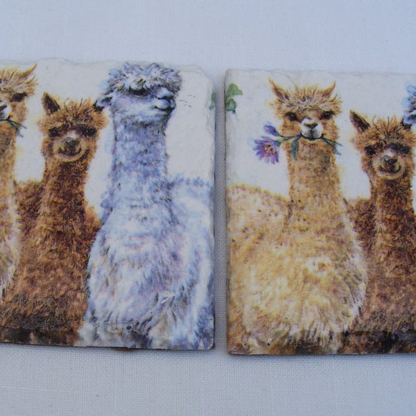 Set of 2 Slate Alpaca Coasters