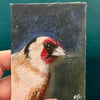 goldfinch bird original painting
