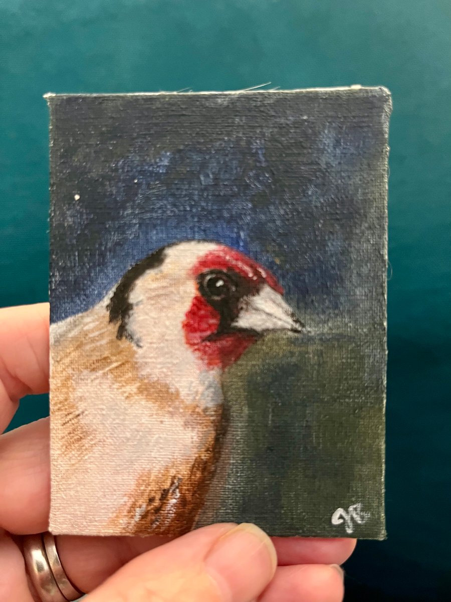 goldfinch bird original painting
