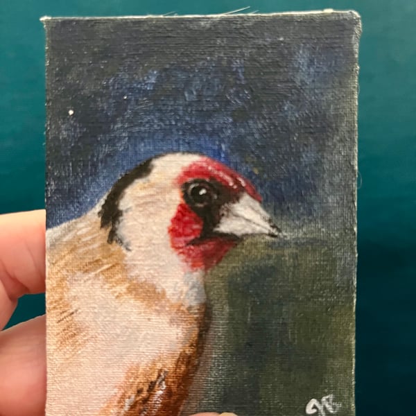 goldfinch bird original painting