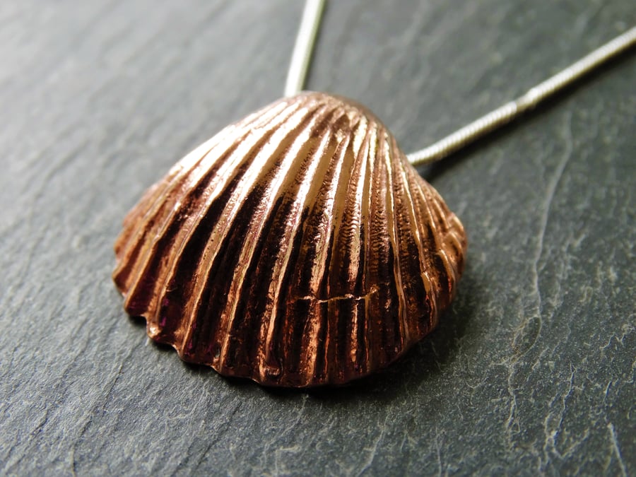 Cast copper cockle shell. Pendant. 