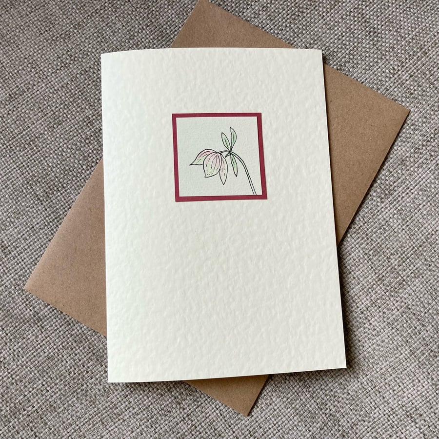 Hand-drawn hellebore card, blank inside, garden flower