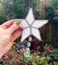 Super starfish - Image 3