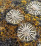 Coastal Dreams Textile Art: burnt orange - DEEP UNFRAMED - Image 3