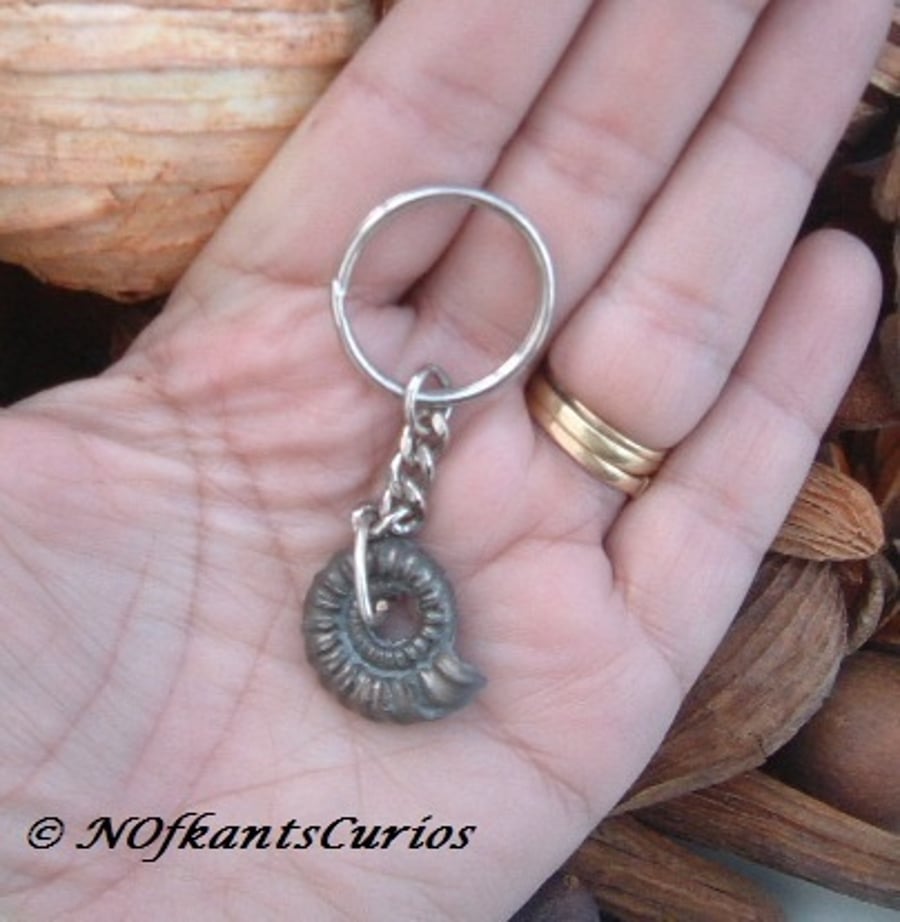 Pyrite Ammonite Fossil Keyring or Handbag Charm with Gold Tone findings