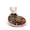 Amonite pendant