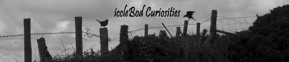 iccleBod Curiosities