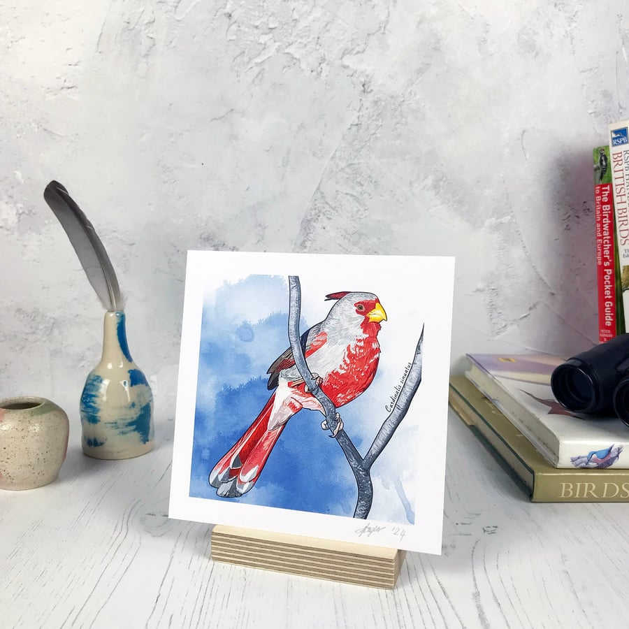 Pyrrhuloxia Bird Print