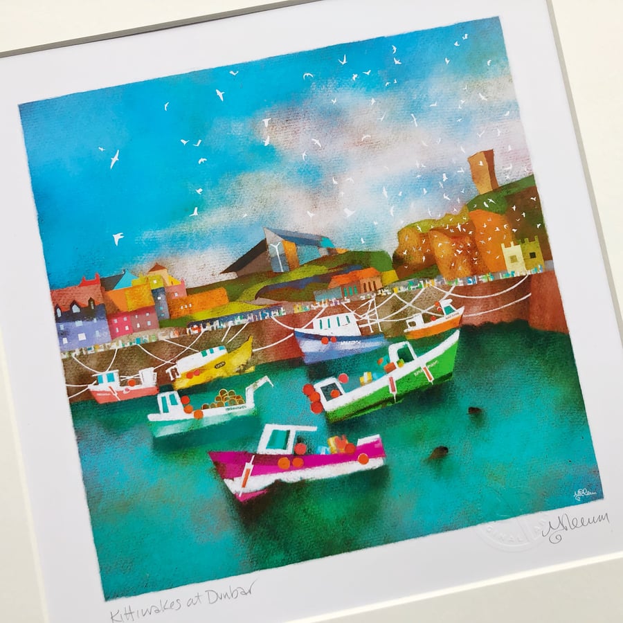 Kittiwakes at Dunbar. Size 2