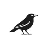 STELFORTH · art & illustration