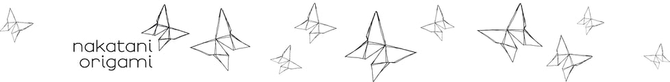 Nakatani Origami