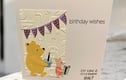 Birthday 