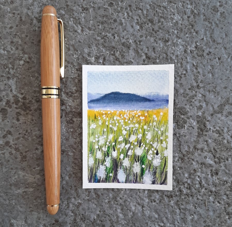 Cotton Grass. Handpainted ACEO Art Trading Card Collectible Watercolour Original