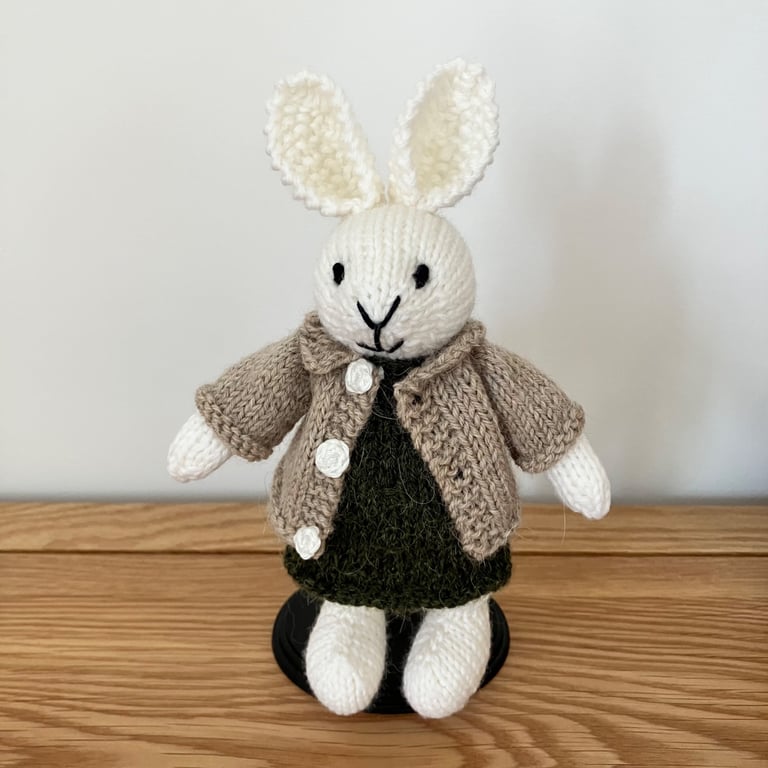 Small Hand Knitted Rabbit in Dress and Cardigan