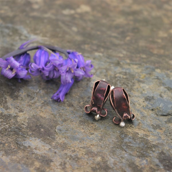 Copper Bluebell  Stud Earrings