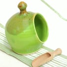 Small Salt Pig, handthrown pottery in vibrant Green glaze with a wooden scoop.