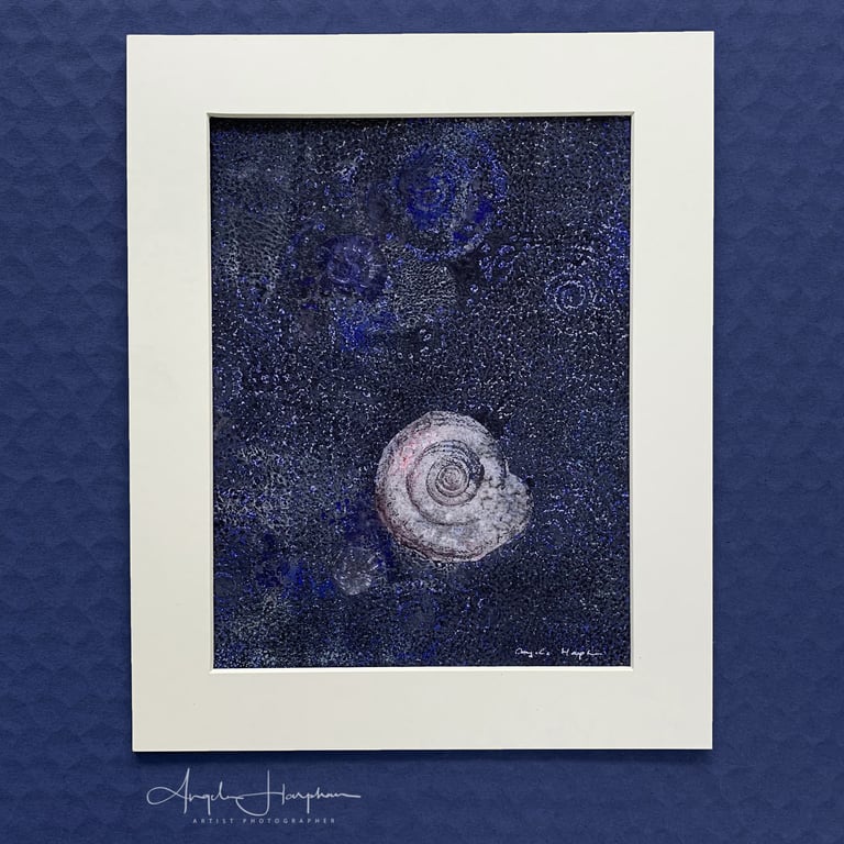 Artwork for Wall - Mounted Monoprint with Collage - Ammonites - One Off