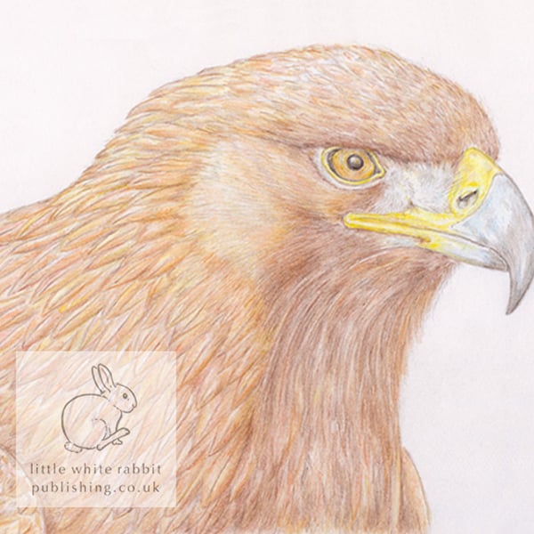 Golden Eagle - Blank Card