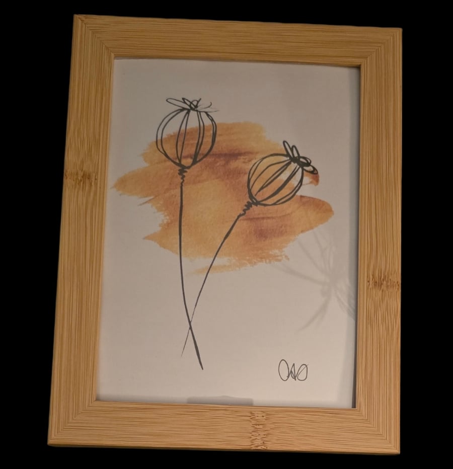 Prints of original poppy head sketch