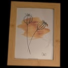 Prints of original poppy head sketch