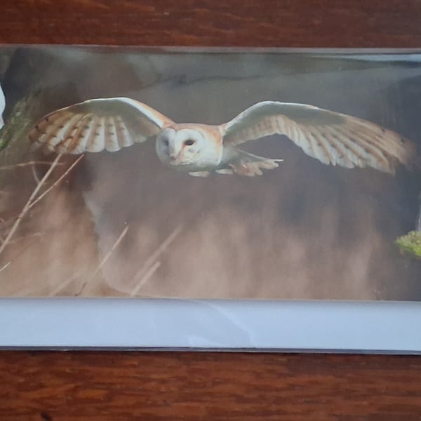 PACK OF 8 OWL BLANK GREETINGS CARDS