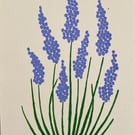 Grape Hyacinth Flowers Screen Print