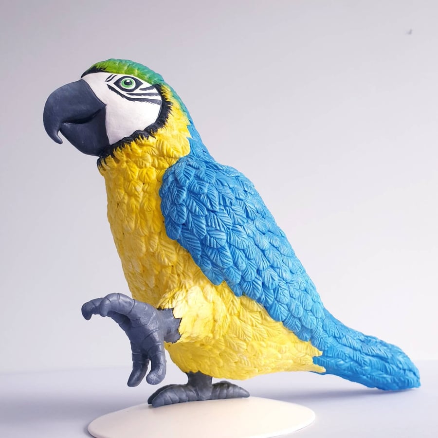 PARROT - polymer clay bird sculpture.