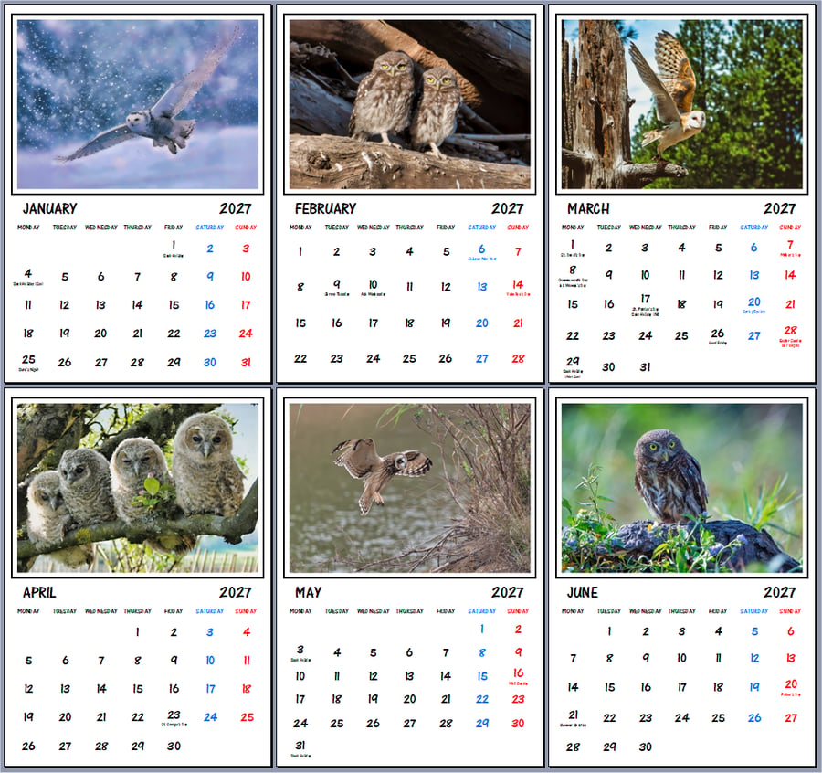 2027 A4 Calendar Owls Wire Hanging 