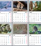 2027 A4 Calendar Owls Wire Hanging 